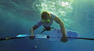 SUBWING " ALAS MARINAS" - Imagen 2