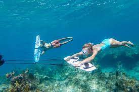 SUBWING " ALAS MARINAS" - Imagen 3