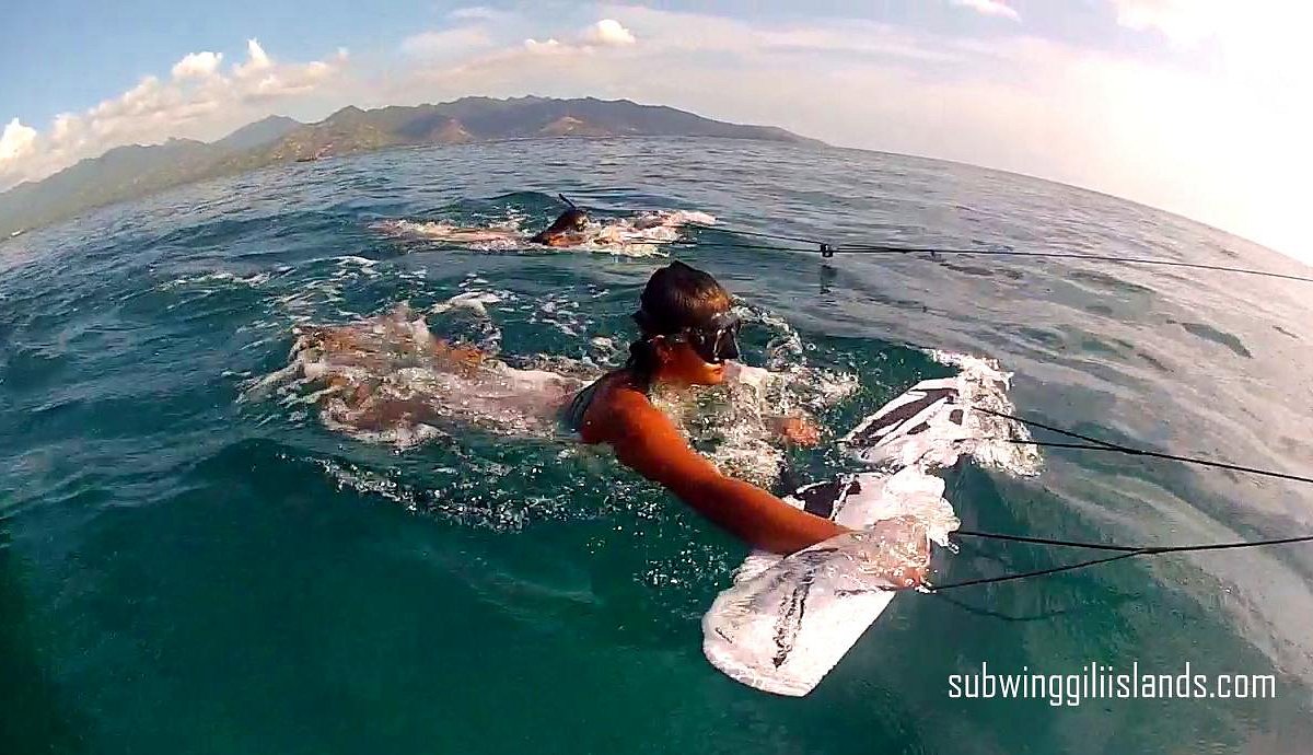 SUBWING " ALAS MARINAS" - Imagen 4