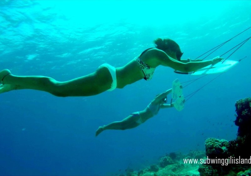 SUBWING " ALAS MARINAS" - Imagen 6