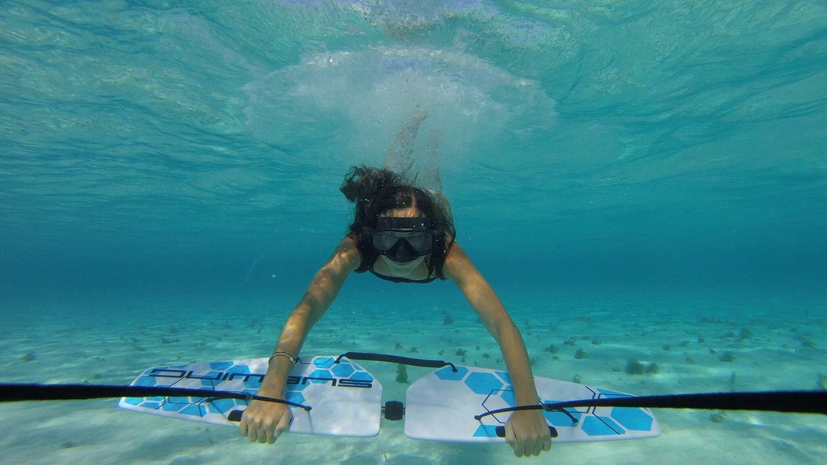 SUBWING " ALAS MARINAS" - Imagen 5