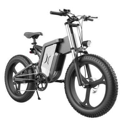 BICI ELÉCTRICA "FAT WHEELS" T.T.