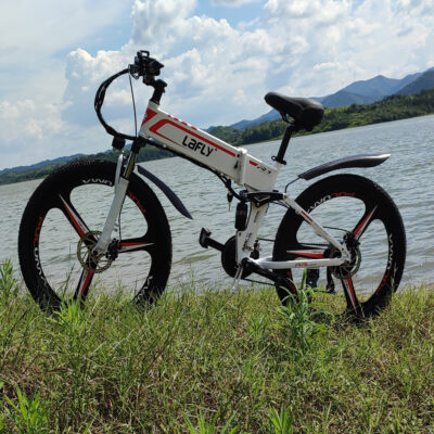 LAFLY ELECTRIC BIKE T.T.