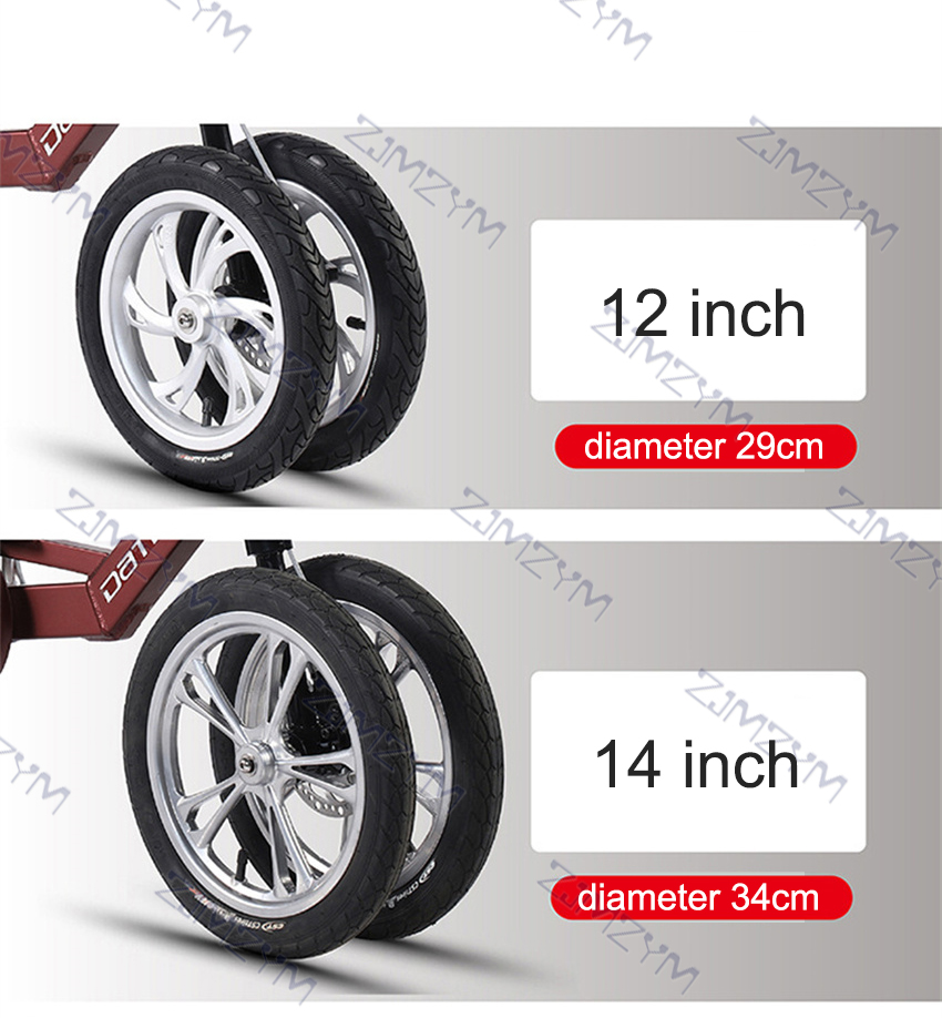 TRICICLO SR1 - Imagen 2